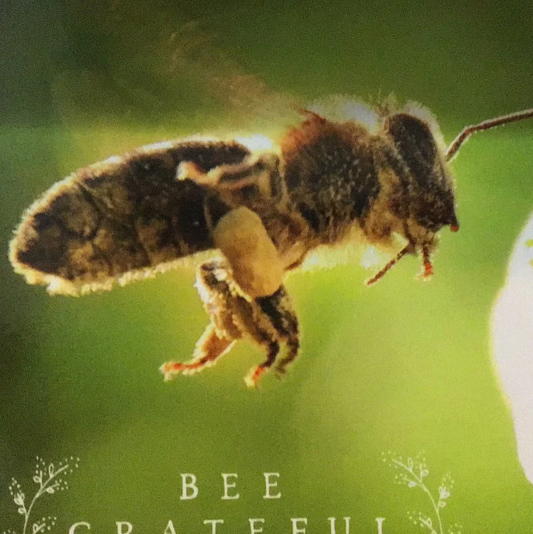 1000 Honey - Green Label